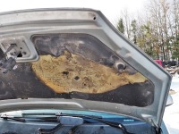 Focus c-max капот крышка двигателя лак d1 хорошее состояние в Украине, фото thumb