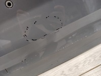 фото thumb №6, Кришка багажника багажника volvo v90 31663428 31690804