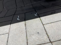 фото thumb №5, Dodge ram крышка багажника задняя 09-16 борт