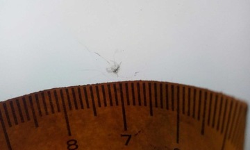 фото thumb №6, Скло лобове mitsubishi outlander 2012- датчик