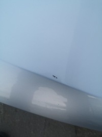 фото thumb №8, Капот кришка двигуна seat altea xl freetrack la7w оригінал лак