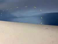 фото thumb №13, Bmw 8 g14 g15 coupe f91 f92 дверь правое передние правый перед dg7418100