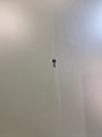 фото thumb №6, Lamborghini urus performente капот карбон