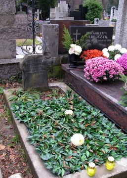 Boxwood для могильной украшения TOMBSTON - искусственная хеджирование на протяжении многих лет Matt 50x50