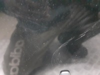 фото thumb №5, Капот mazda 3 bk 16w