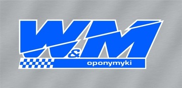 2 ВСЕСЕЗОННЫЕ ШИНЫ 205/55r16 С ПРОТИВОМ