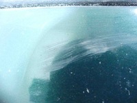 фото thumb №12, Бампер перед балка seat alhambra i lift 00- lc6m