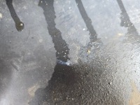 Bmw x3 go1 m набір бампер перед передній 773828-10 решітка Київ, фото thumb