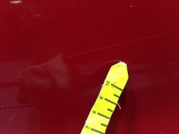 фото thumb №9, Mazda 6 gg gy дверь перед левая gk6