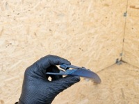 Спойлер накладка молдинг бампера задний  hyundai ioniq 86689-g2000 Оригинал, фото thumb