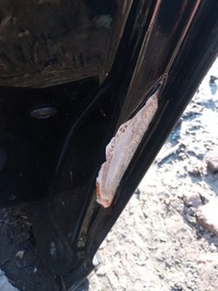 фото thumb №8, Дверь правое передние renault megane iii