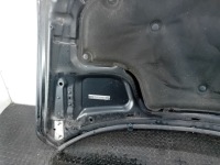 фото thumb №15, Капот infiniti ex37 l50