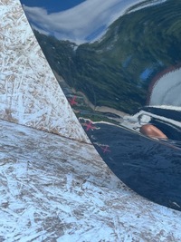 фото thumb №7, Дверь задние задняя правое kia ceed iii hb 2017-