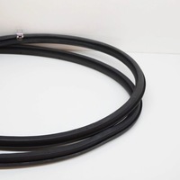 фото thumb №6, Lexus rx 330 - 350 - 400h 2009 ліва сторона прокладка двері