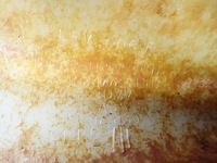 фото thumb №6, Захист внутрішня стійка lewego chevrolet corvette c5