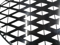 фото thumb №6, Решётка радиатора, решётка радиатора, решётки радиатора bmw x-2 u10