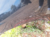 фото thumb №6, Чверть права задня задня правий bok kia proceed pro ceed ii 1k 2012-