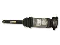 Купити Амортизатор задній права сторона tesla model s 106746625c, фото thumb