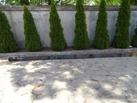 фото thumb №1, Daf lf 45 55 рама bok балка ліва 17,5'' 530x19.5cm