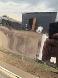 фото thumb №5, Двері лівий перед передні renault koleos ii tegxa 16-