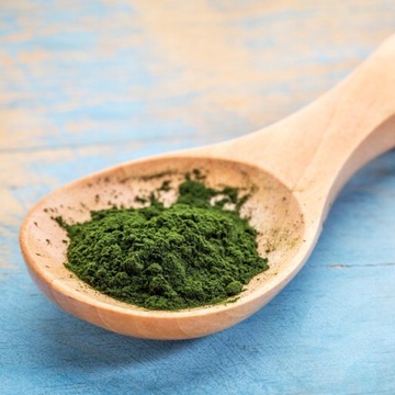 CHLORELLA PROSZEK 100g 100 % NATURALN ALGA MORSKA