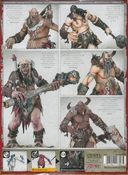 Warhammer Age of Sigmar SONS OF BEHEMAT: KING BRODD Games Workshop