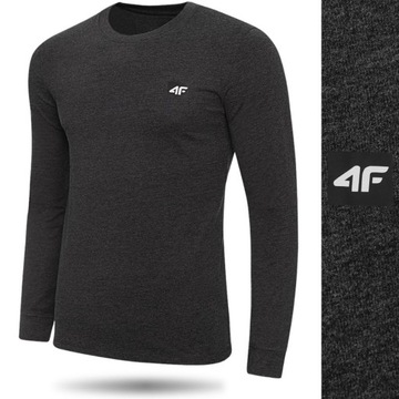 Мужская толстовка 4f Longsleeve Blouse ежедневно