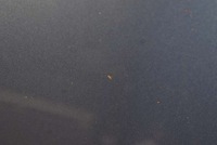 фото thumb №6, Капот крышка двигателя niebieska mazda premacy 1 i cp 99-01