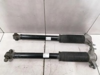 Набор задних амортизаторов tesla model 3 1044461-01-e набор задних амортизатор с Разборки, фото thumb