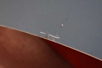 фото thumb №6, Капот крышка двигателя голубой citroen c3 c 3 1 i 02-10