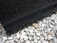 фото thumb №8, Дверь левый зад vw jetta v sedan 05-11 lc9x do установка