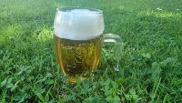 Kozel пивные кружки 0.3л 2шт пивные кружки подарок кружки кружки 300мл