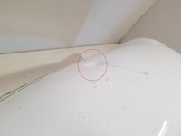 фото thumb №9, Smart forfour ii w453 2015 с передний крышка передняя / капот двигателя