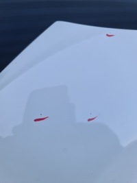 фото thumb №5, Bmw g06 x6 g05 x5 капот кришка двигуна a300 alpinweiss