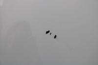 фото thumb №9, Bmw ix i20 бампер передній перед m набір колір: 3