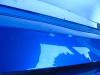 фото thumb №12, Mitsubishi asx бампер задний 6410d498zz