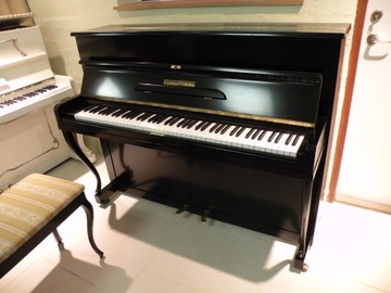 GROTRIAN - Пианино STEINWEG, модель 120 см, высота элита, идеальное состояние