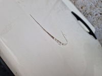 фото thumb №7, Nissan nt500 nt 500 двері передні праве перед