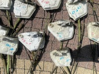 фото thumb №5, Замок правый перед mazda cx-5 ii