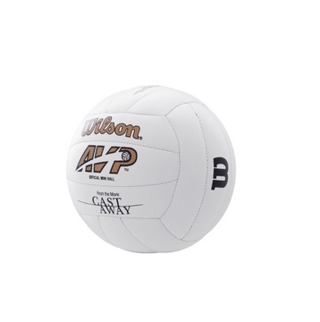 Волейбольный мяч Wilson MR Cast Away mini WTH14115XD