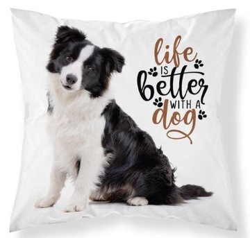 POSZEWKA NA PODUSZKĘ 40x4 BORDER COLLIE PSY PIES dla dziecka dziecięca
