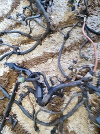 фото thumb №8, Жгут двигателя opel zafira a 2.2 дизель