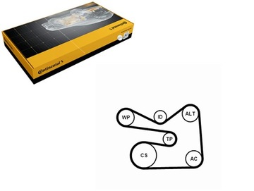 фото thumb №1, Набор полосок wielorowkowych с роликами audi a1 a3 seat altea altea xl