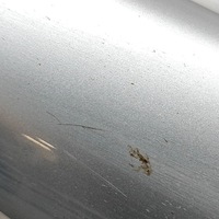 фото thumb №4, Land rover range rover sport l494 2018 права сторона молдинг двері задніх