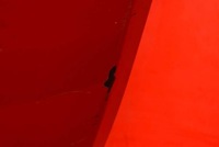 фото thumb №8, Бампер перед передний 289/a alfa romeo mito 08-13