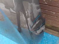 фото thumb №3, Кришка двигуна капот berlingo iv rifter 2018r-