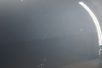 фото thumb №11, Двері правий перед renault scenic iii terpa