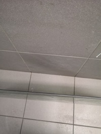 фото thumb №6, Стекло дверь правые зад audi a6 c5 esg avant