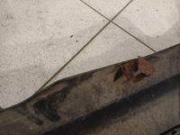 фото thumb №15, Бампер задній mazda cx-9 2008