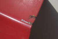 фото thumb №6, Dacia logan i крило двері ліва задня задні